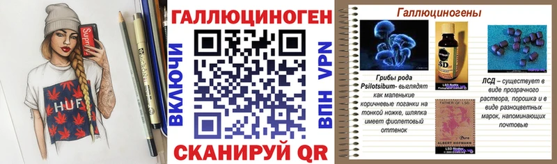 Псилоцибиновые грибы Psilocybe  Майкоп 